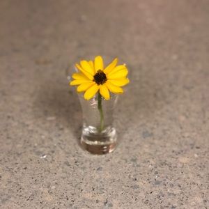 Meet your Posher, Makayla